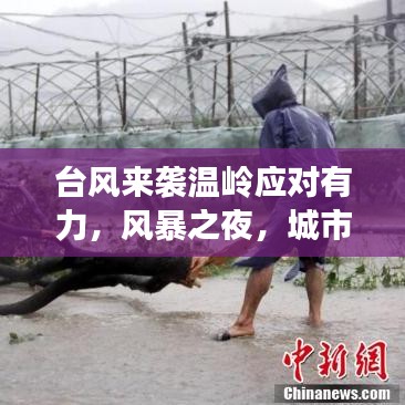 台风来袭温岭应对有力，风暴之夜，城市反应迅速！