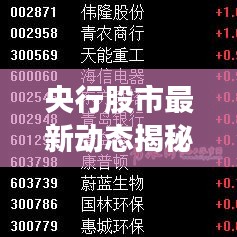 央行股市最新动态揭秘，市场影响及解读
