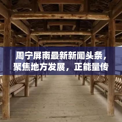 周宁屏南最新新闻头条，聚焦地方发展，正能量传递不停歇