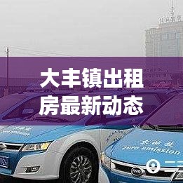大丰镇出租房最新动态，市场趋势与热门房源深度解析