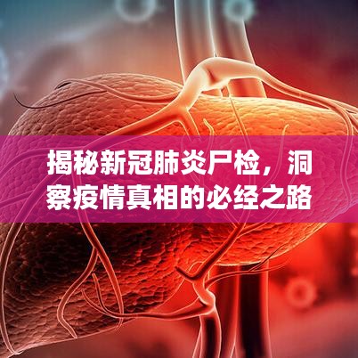 揭秘新冠肺炎尸检，洞察疫情真相的必经之路