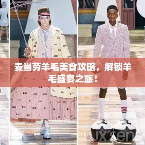 麦当劳羊毛美食攻略，解锁羊毛盛宴之旅！