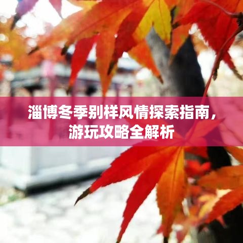 淄博冬季别样风情探索指南，游玩攻略全解析