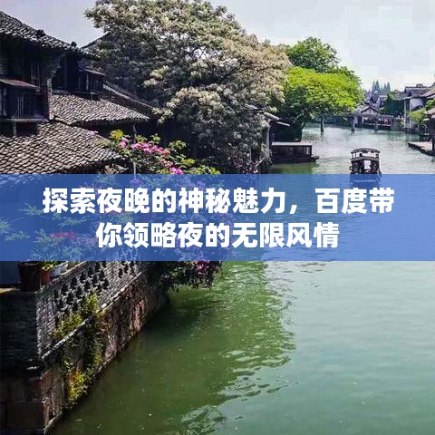 探索夜晚的神秘魅力，百度带你领略夜的无限风情