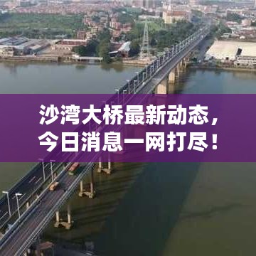 沙湾大桥最新动态，今日消息一网打尽！