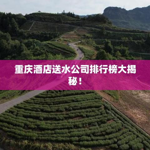 重庆酒店送水公司排行榜大揭秘！