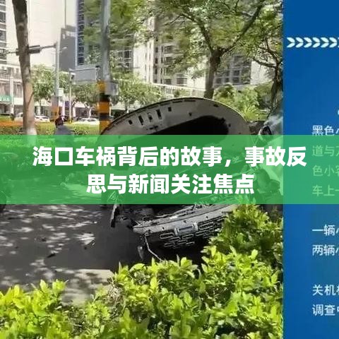 海口车祸背后的故事，事故反思与新闻关注焦点