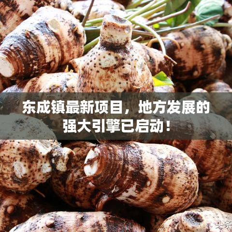 东成镇最新项目，地方发展的强大引擎已启动！