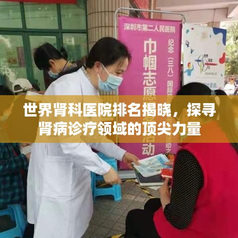 世界肾科医院排名揭晓，探寻肾病诊疗领域的顶尖力量