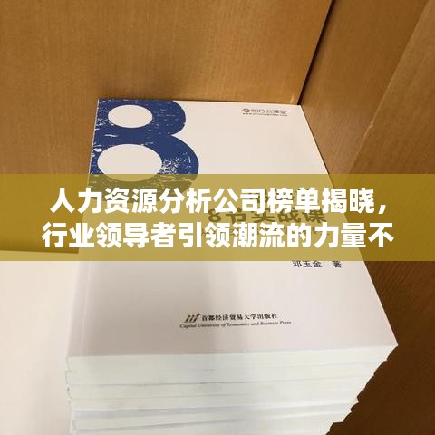 人力资源分析公司榜单揭晓，行业领导者引领潮流的力量不容小觑