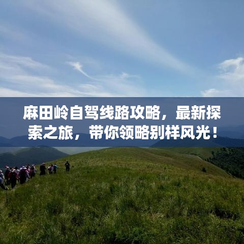 麻田岭自驾线路攻略，最新探索之旅，带你领略别样风光！