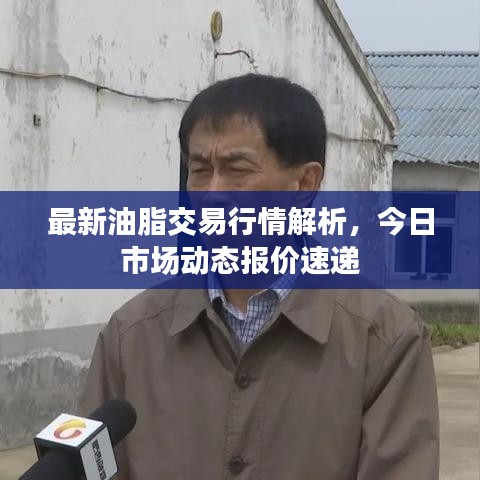 最新油脂交易行情解析，今日市场动态报价速递