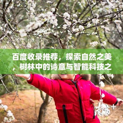 百度收录推荐，探索自然之美，树林中的诗意与智能科技之旅