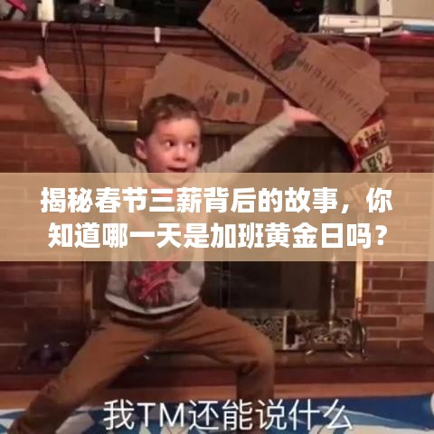 下马看花 第2页