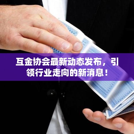 互金协会最新动态发布，引领行业走向的新消息！