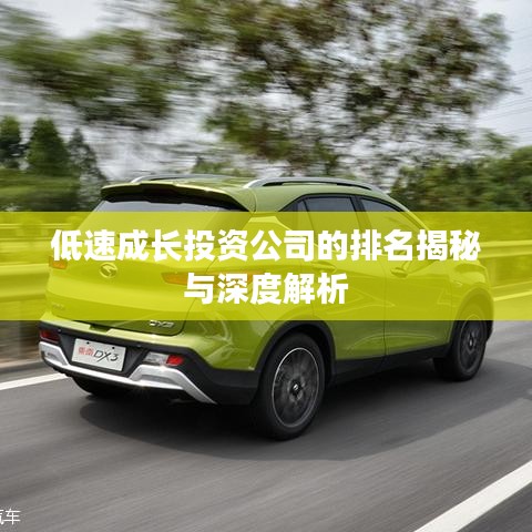 低速成长投资公司的排名揭秘与深度解析