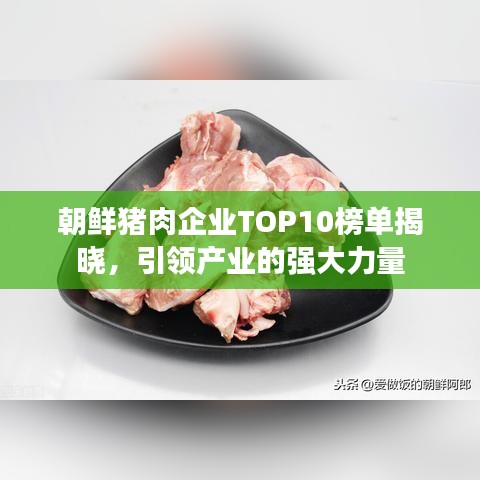 朝鲜猪肉企业TOP10榜单揭晓，引领产业的强大力量