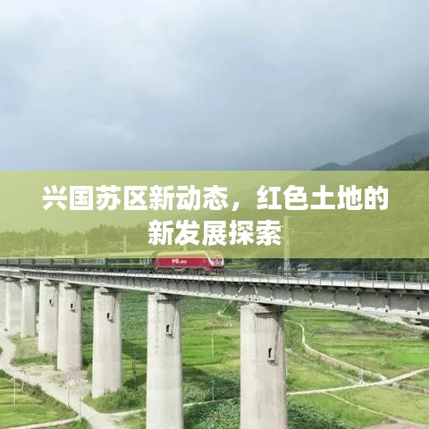 兴国苏区新动态，红色土地的新发展探索