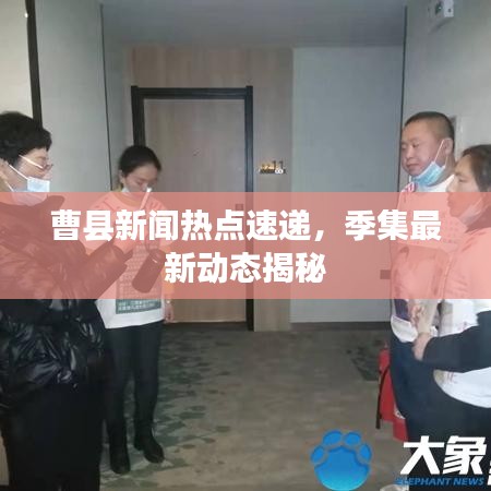 朴素无华 第2页