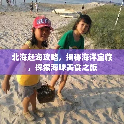北海赶海攻略，揭秘海洋宝藏，探索海味美食之旅