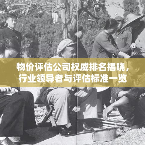 物价评估公司权威排名揭晓，行业领导者与评估标准一览
