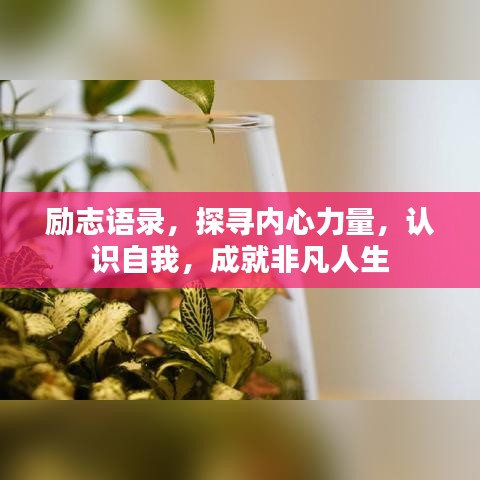 励志语录，探寻内心力量，认识自我，成就非凡人生