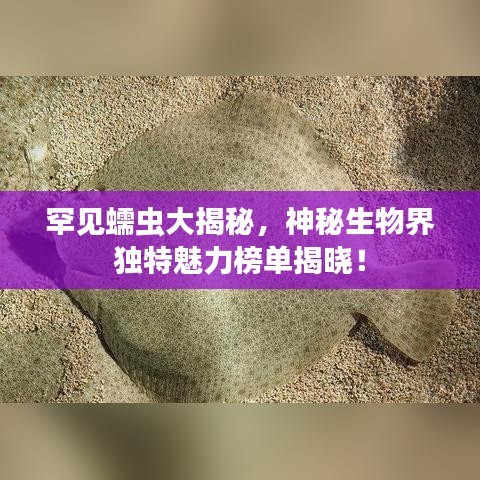 罕见蠕虫大揭秘，神秘生物界独特魅力榜单揭晓！