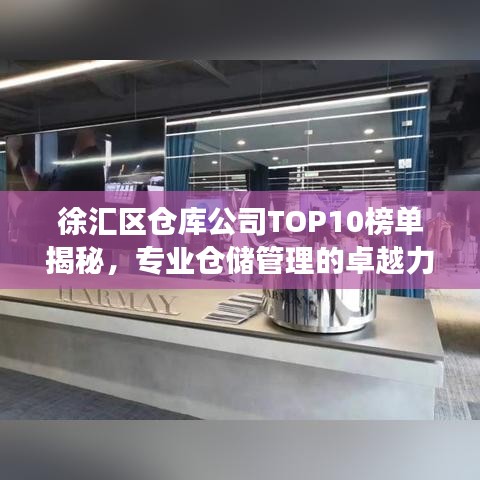 徐汇区仓库公司TOP10榜单揭秘，专业仓储管理的卓越力量展示