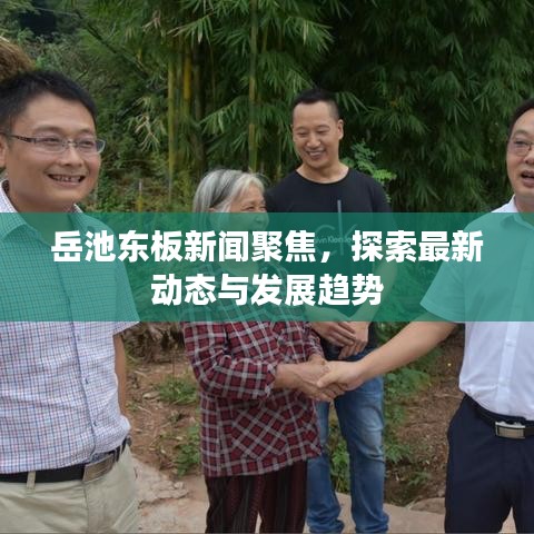 岳池东板新闻聚焦，探索最新动态与发展趋势