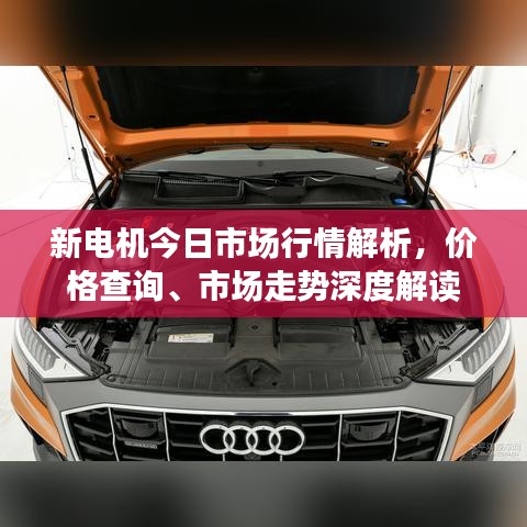 新电机今日市场行情解析，价格查询、市场走势深度解读
