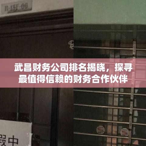 武昌财务公司排名揭晓，探寻最值得信赖的财务合作伙伴