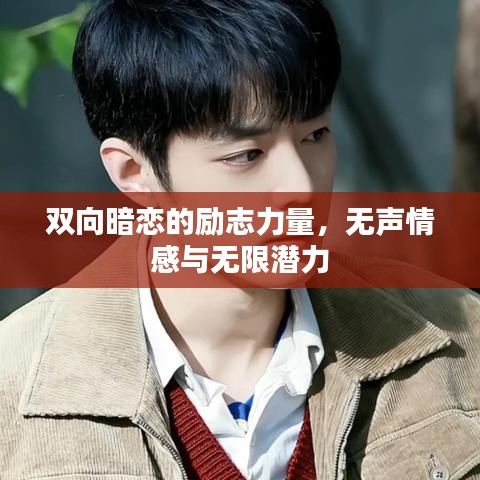 双向暗恋的励志力量，无声情感与无限潜力