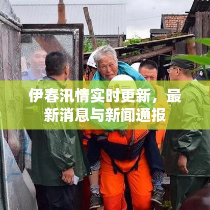 伊春汛情实时更新，最新消息与新闻通报