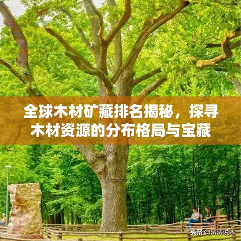 全球木材矿藏排名揭秘，探寻木材资源的分布格局与宝藏