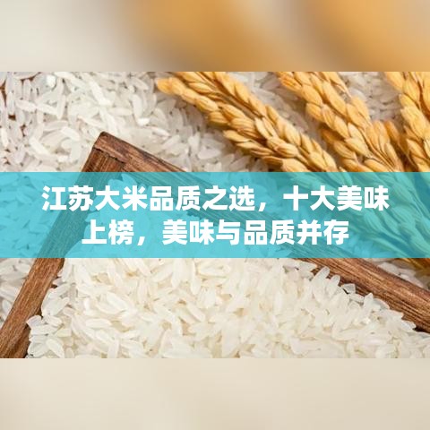 江苏大米品质之选，十大美味上榜，美味与品质并存