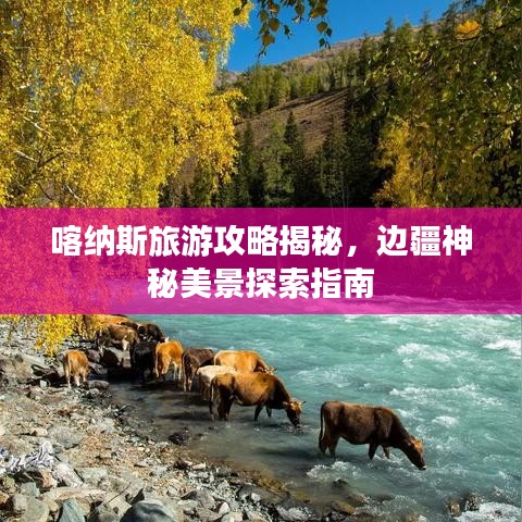 喀纳斯旅游攻略揭秘，边疆神秘美景探索指南