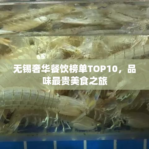 无锡奢华餐饮榜单TOP10，品味最贵美食之旅