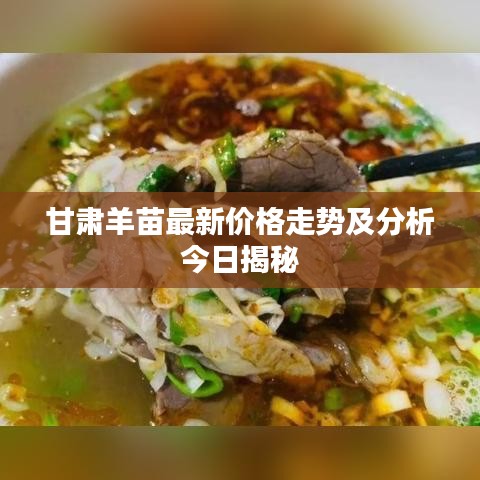 甘肃羊苗最新价格走势及分析今日揭秘