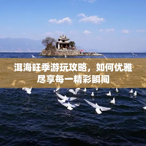洱海旺季游玩攻略，如何优雅尽享每一精彩瞬间