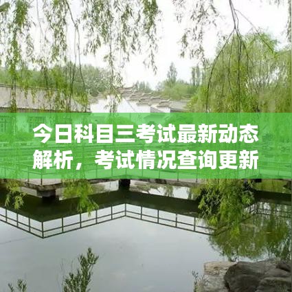 今日科目三考试最新动态解析，考试情况查询更新，考生指南全面呈现