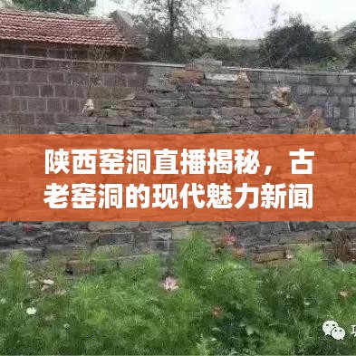 移樽就教 第2页