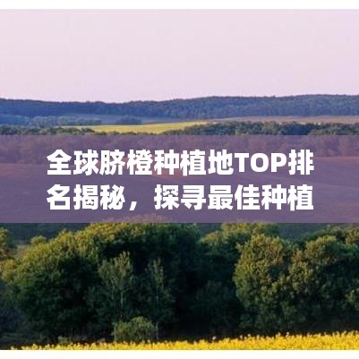 全球脐橙种植地TOP排名揭秘，探寻最佳种植区域与成功秘诀