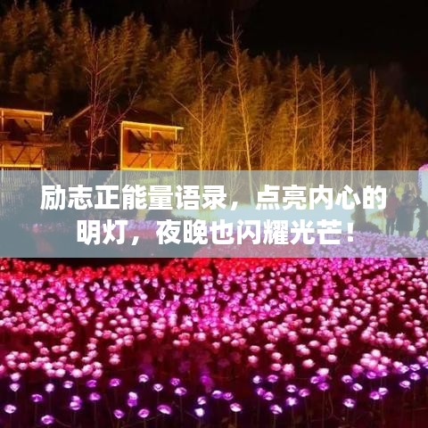 励志正能量语录，点亮内心的明灯，夜晚也闪耀光芒！