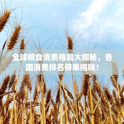 全球粮食消费格局大揭秘，各国消费排名榜单揭晓！