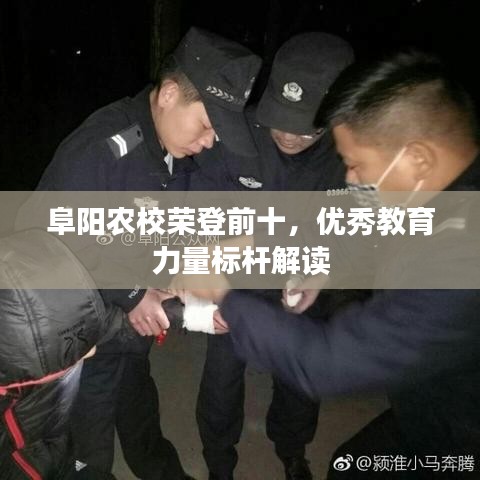 阜阳农校荣登前十，优秀教育力量标杆解读