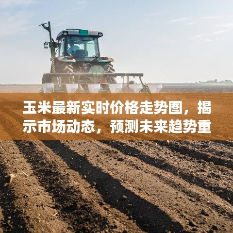 玉米最新实时价格走势图，揭示市场动态，预测未来趋势重磅揭秘！