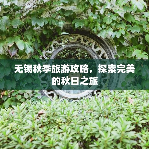 无锡秋季旅游攻略，探索完美的秋日之旅