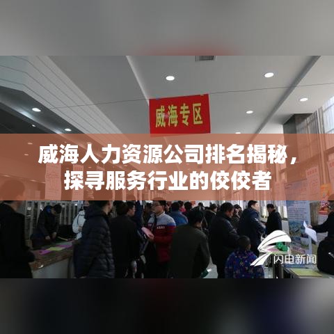 威海人力资源公司排名揭秘，探寻服务行业的佼佼者