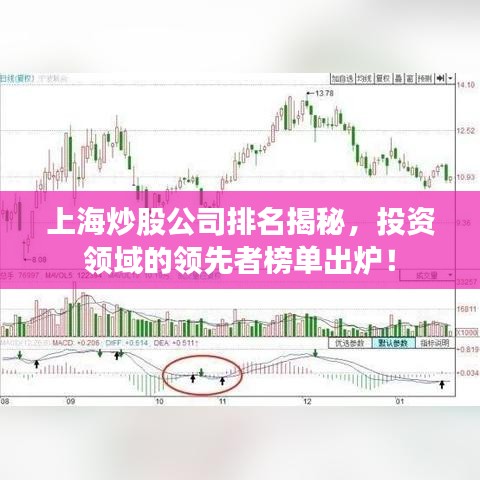 上海炒股公司排名揭秘，投资领域的领先者榜单出炉！