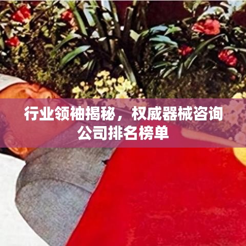 行业领袖揭秘，权威器械咨询公司排名榜单